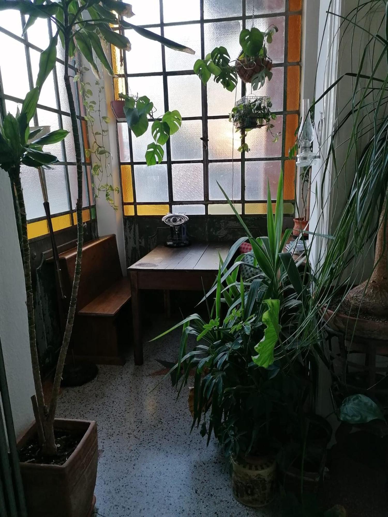 The Liberty Terrace Bed & Breakfast Udine Luaran gambar